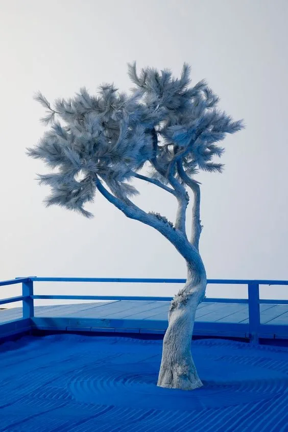 Daniel Arsham